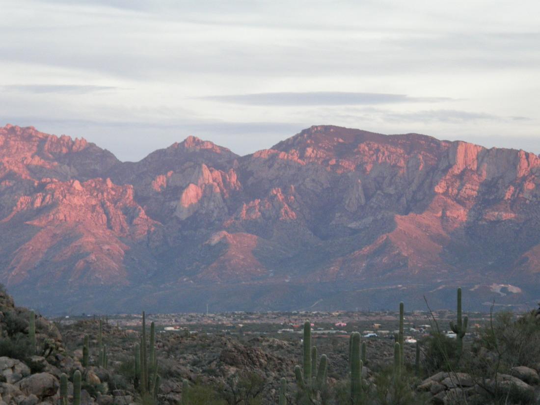 Northwest Tucson Homes & Oro Valley