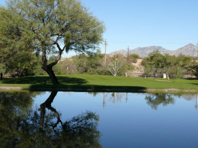  Forty Niners Country Club Tucson AZ