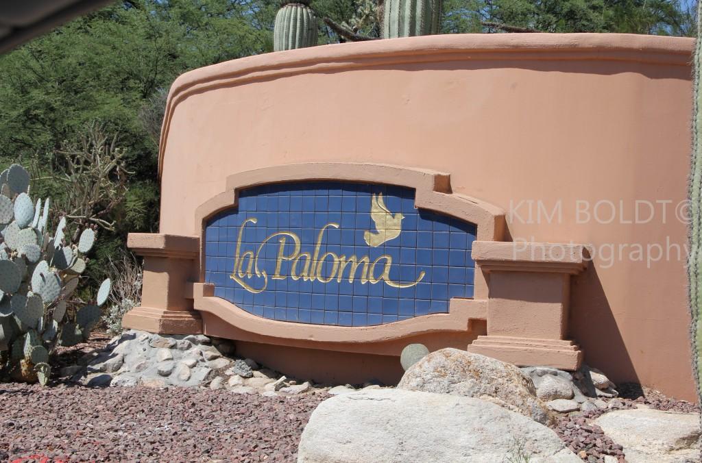 Houses For Rent In La Paloma Tucson Az at Julie Rothrock blog