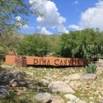 Pima Canyon Estates Homes for Sale
