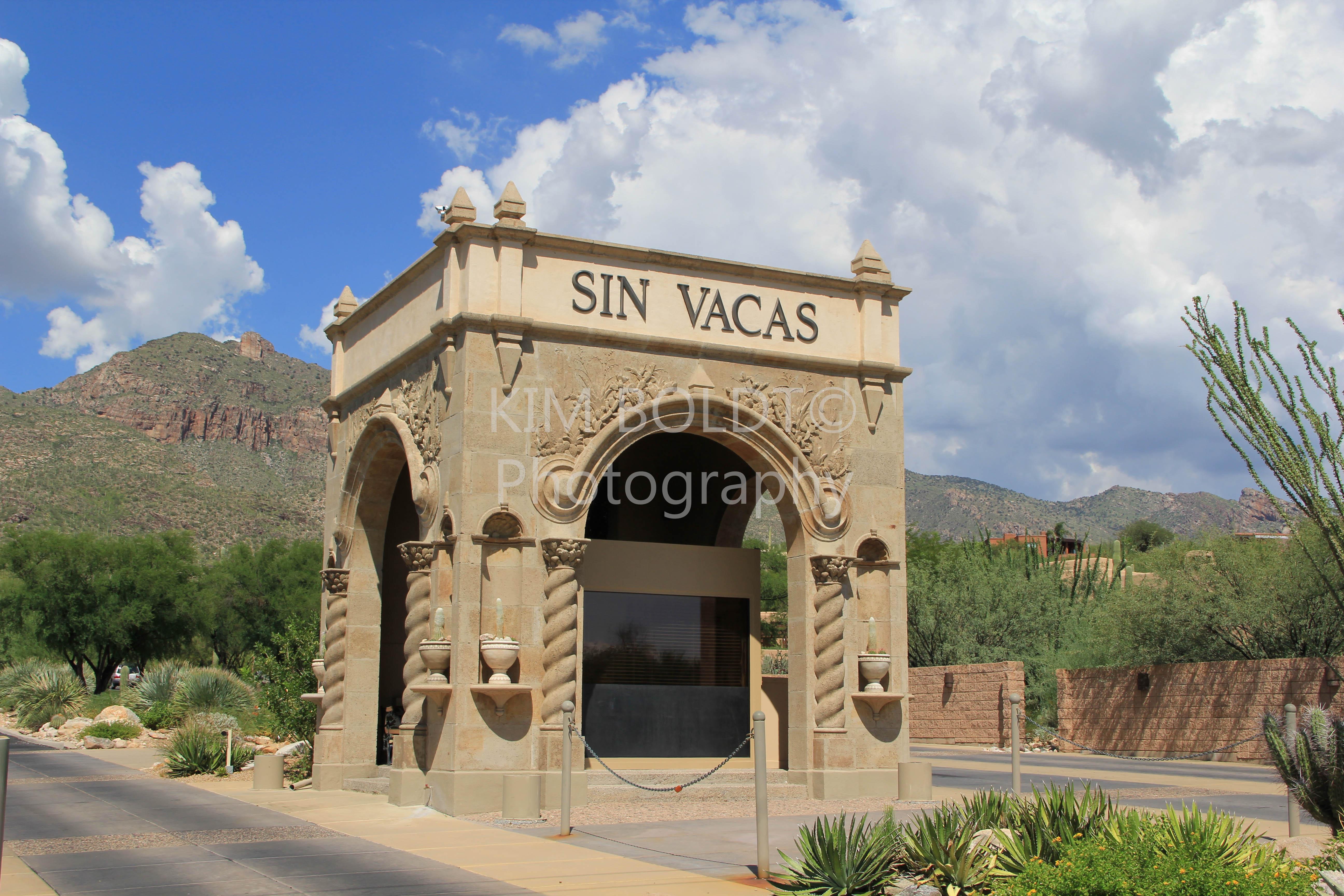 SIN VACAS Is a Tucson Luxury Subdivision in the Foothills