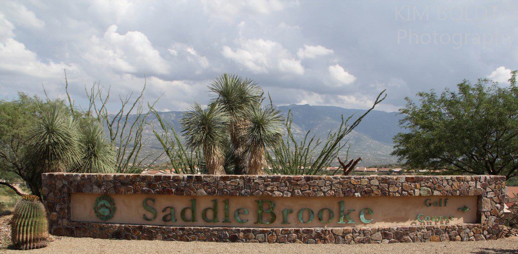 Discover What SaddleBrooke AZ Has to Offer - 55+ Active Lifestyle