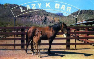 horse guest ranch tucson