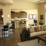 saddlebrooke ranch homes