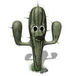 dr horton saguaro bloom, Saguaro Bloom Homes Marana AZ