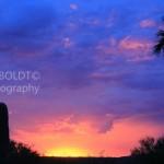 desert sunset