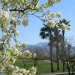Quail Creek