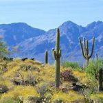 gated communities tucson