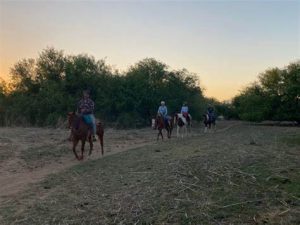 Horses on rocking k trails