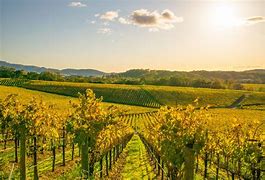 Napa California