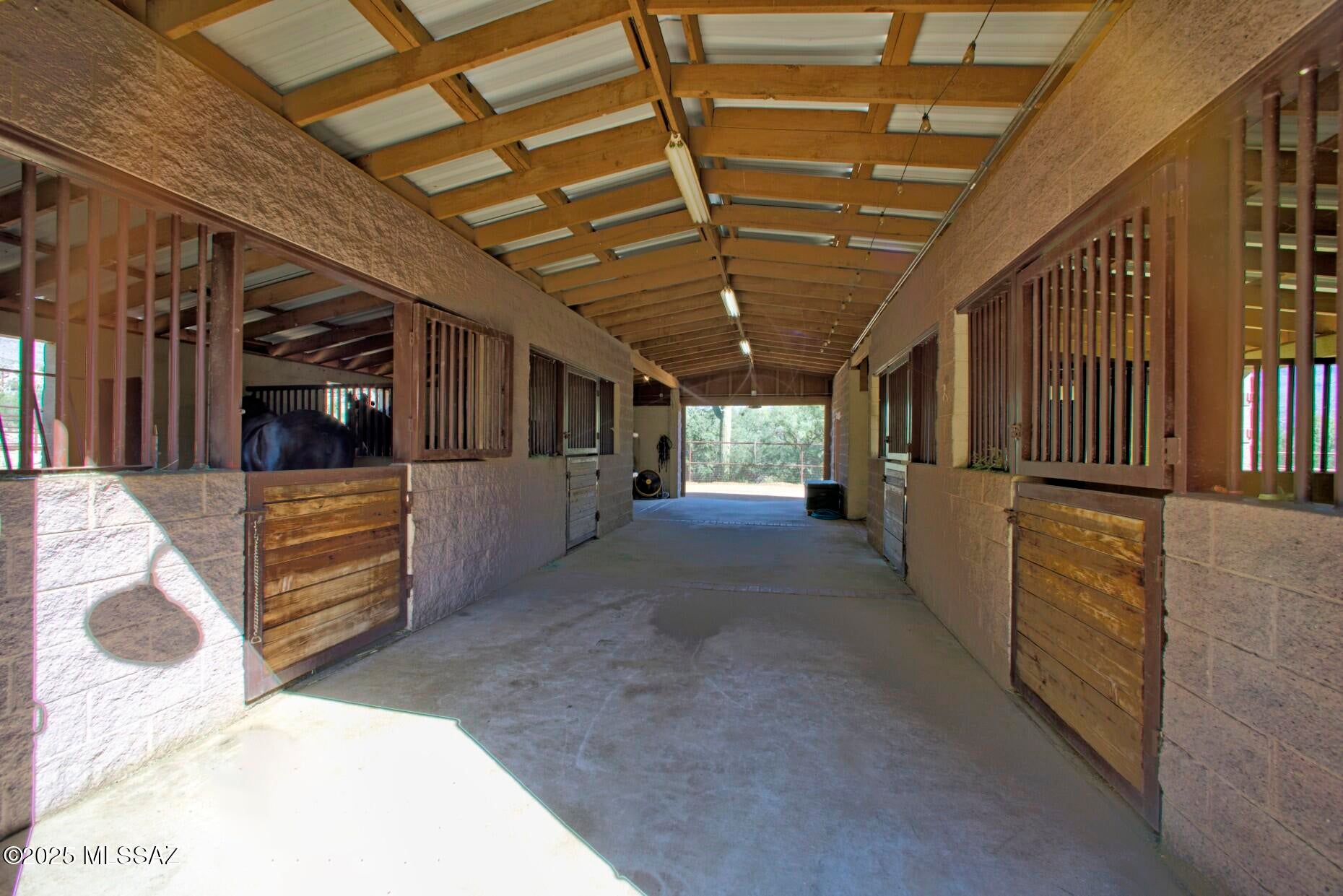13670 E Camino La Cabadilla Tucson Horse Property