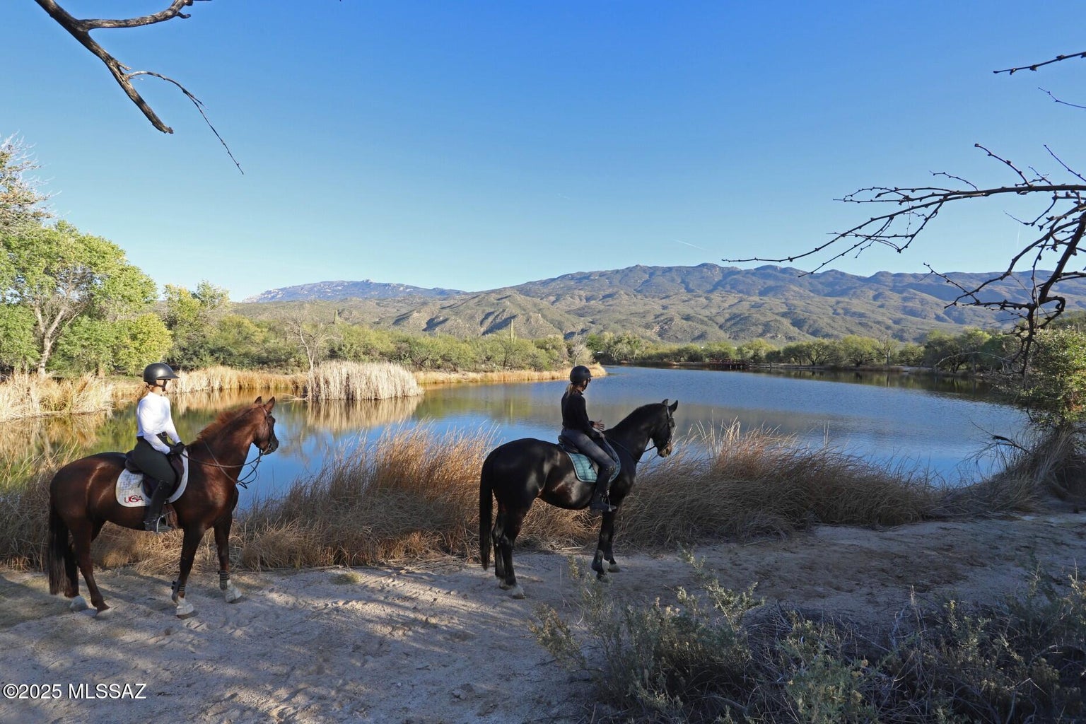 horse riders by lake