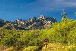 Catalina State Park with trails and scenes