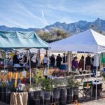 Steam Pump Ranch in Oro Valley Farmers Market